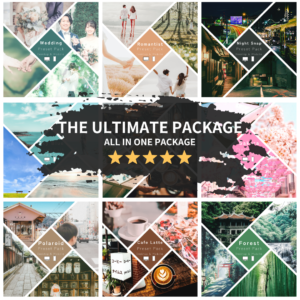 THE ULTIMATE PACKAGE